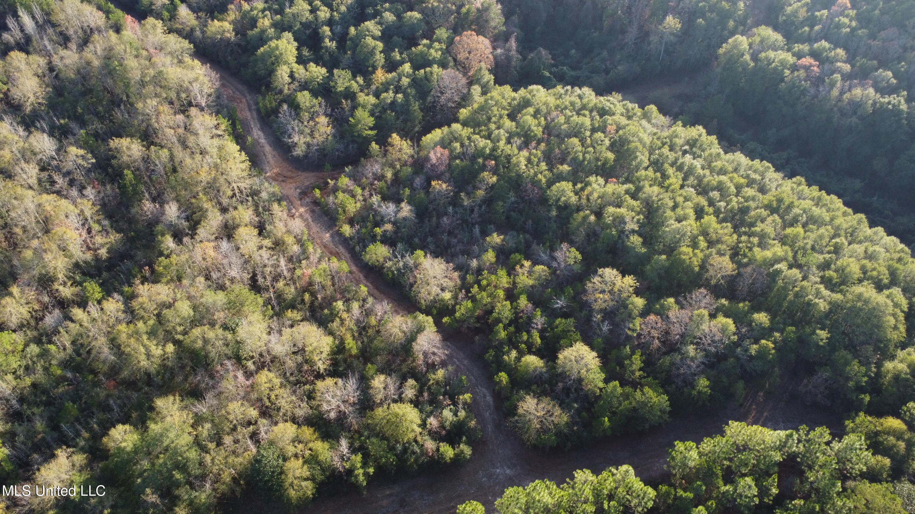 10 10 Mile Creek Road Foxworth, MS 39483 - Photo 9 of 101 DJI_0677