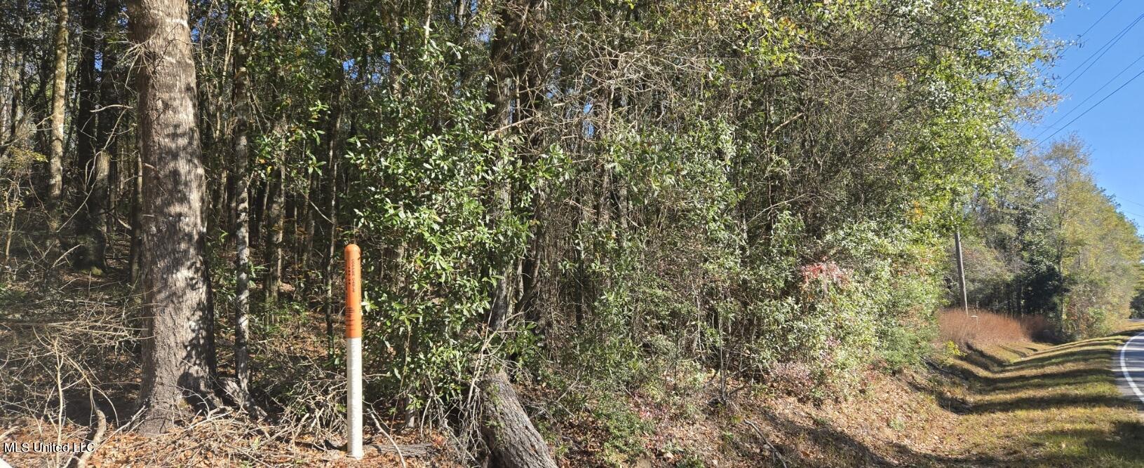 10 10 Mile Creek Road Foxworth, MS 39483 - Photo 91 of 101 20251215_110403
