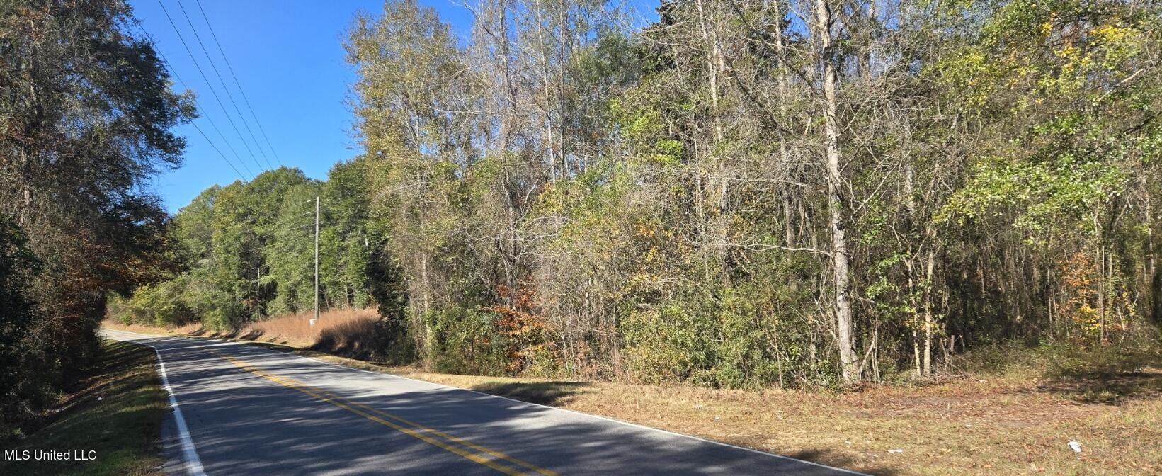 10 10 Mile Creek Road Foxworth, MS 39483 - Photo 92 of 101 20251215_110859