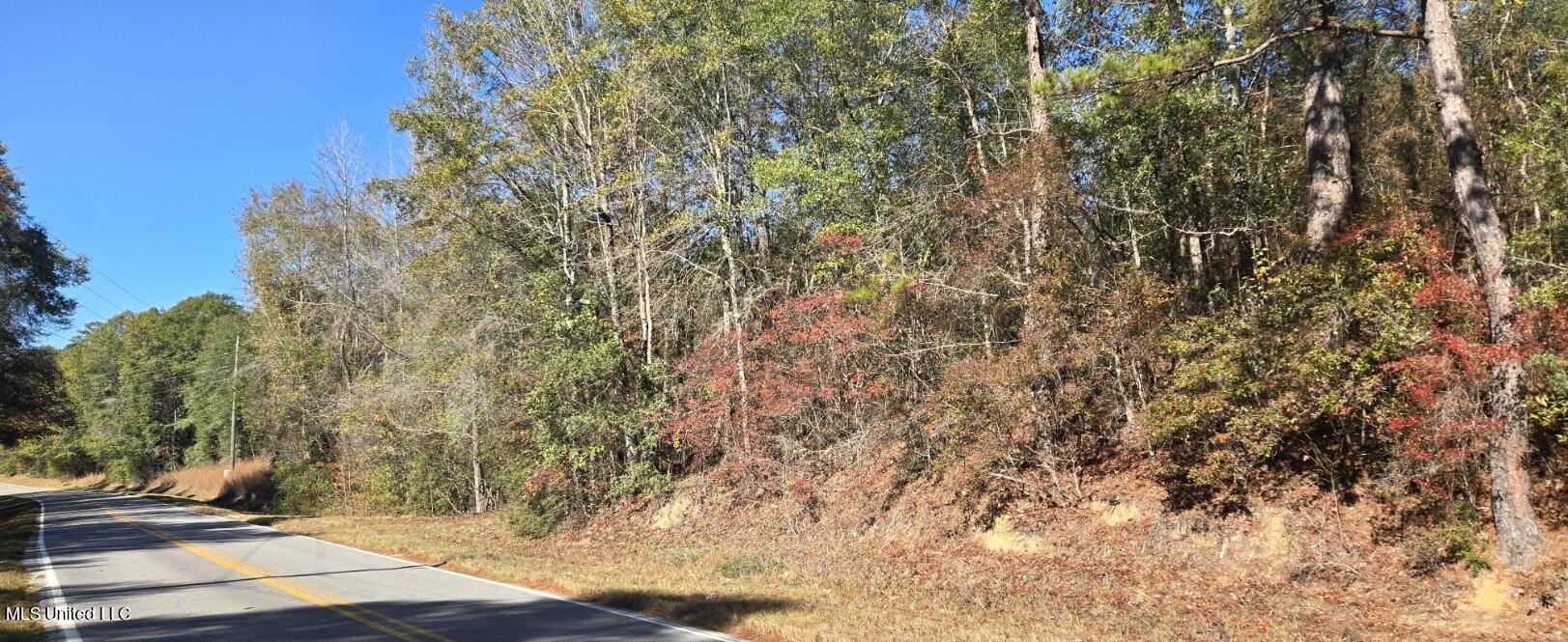 10 10 Mile Creek Road Foxworth, MS 39483 - Photo 93 of 101 20251215_110821