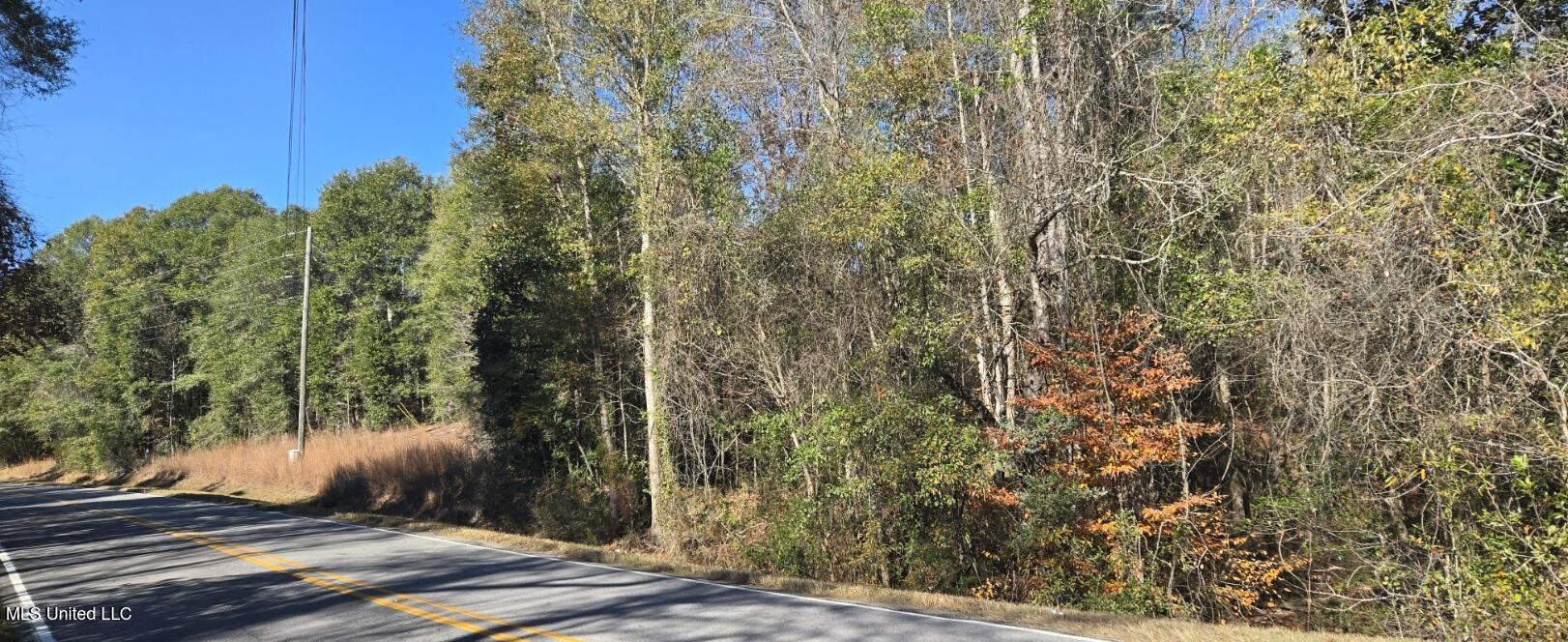 10 10 Mile Creek Road Foxworth, MS 39483 - Photo 95 of 101 20251215_110934
