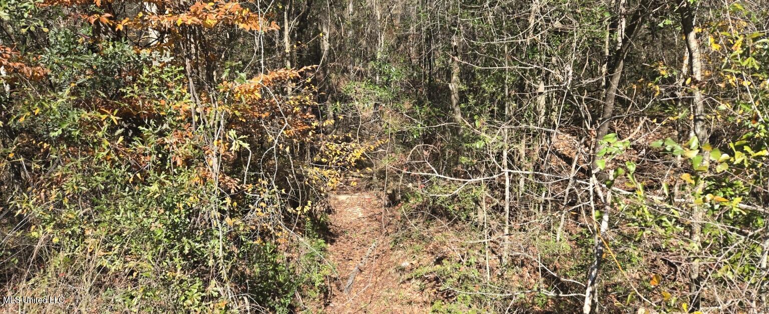 10 10 Mile Creek Road Foxworth, MS 39483 - Photo 96 of 101 20251215_110953