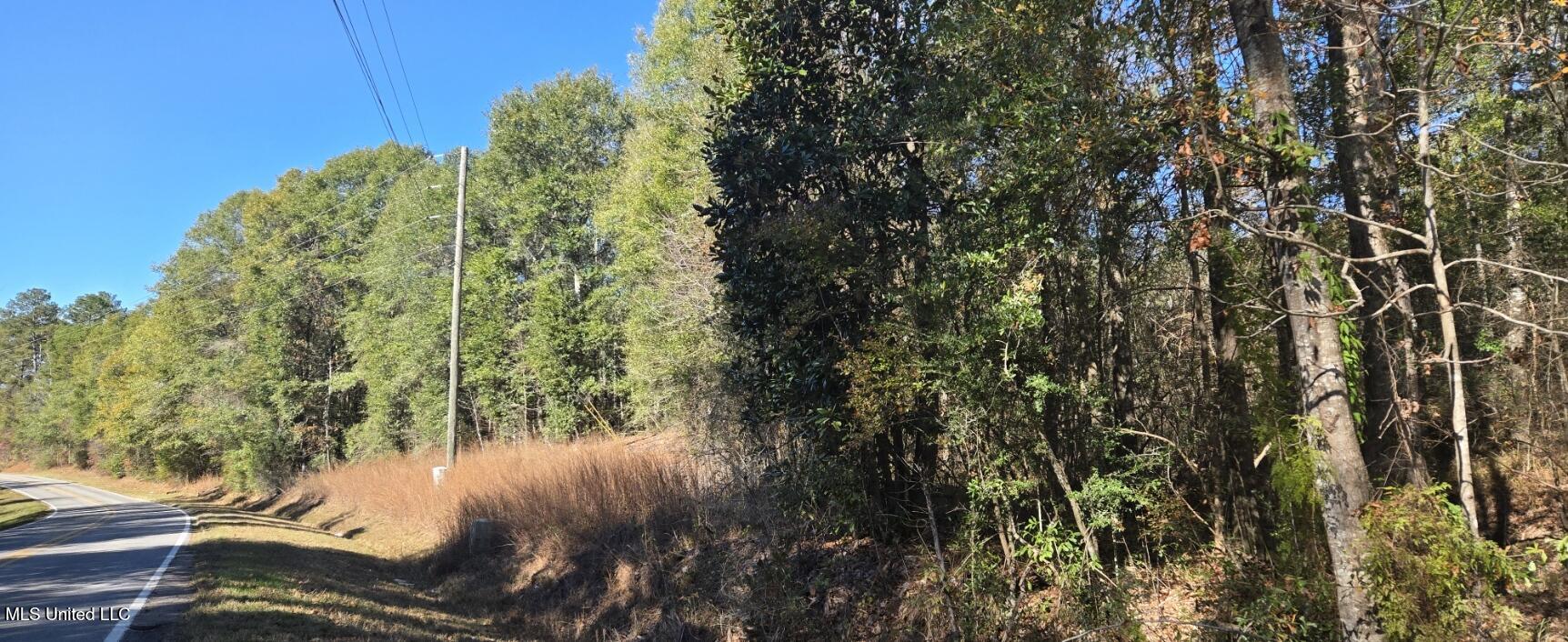 10 10 Mile Creek Road Foxworth, MS 39483 - Photo 97 of 101 20251215_111039