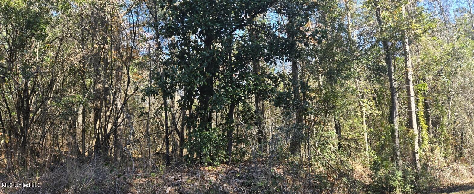 10 10 Mile Creek Road Foxworth, MS 39483 - Photo 98 of 101 20251215_111141