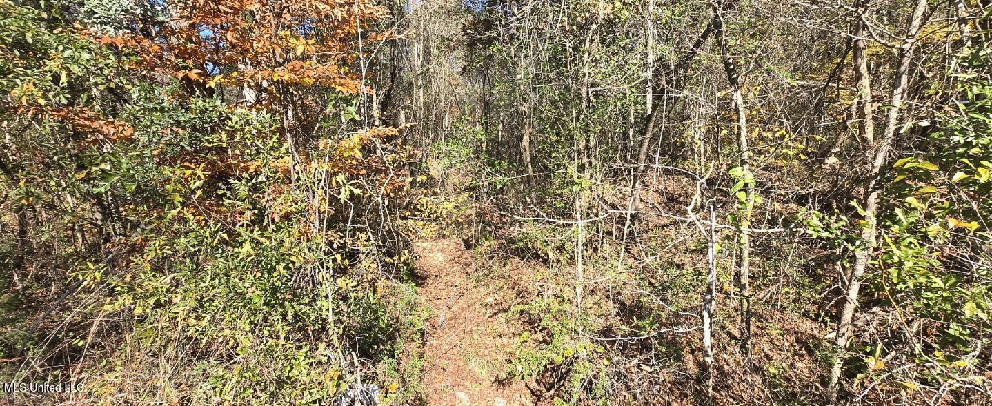 10 10 Mile Creek Road Foxworth, MS 39483 - Photo 99 of 101 20251215_111228