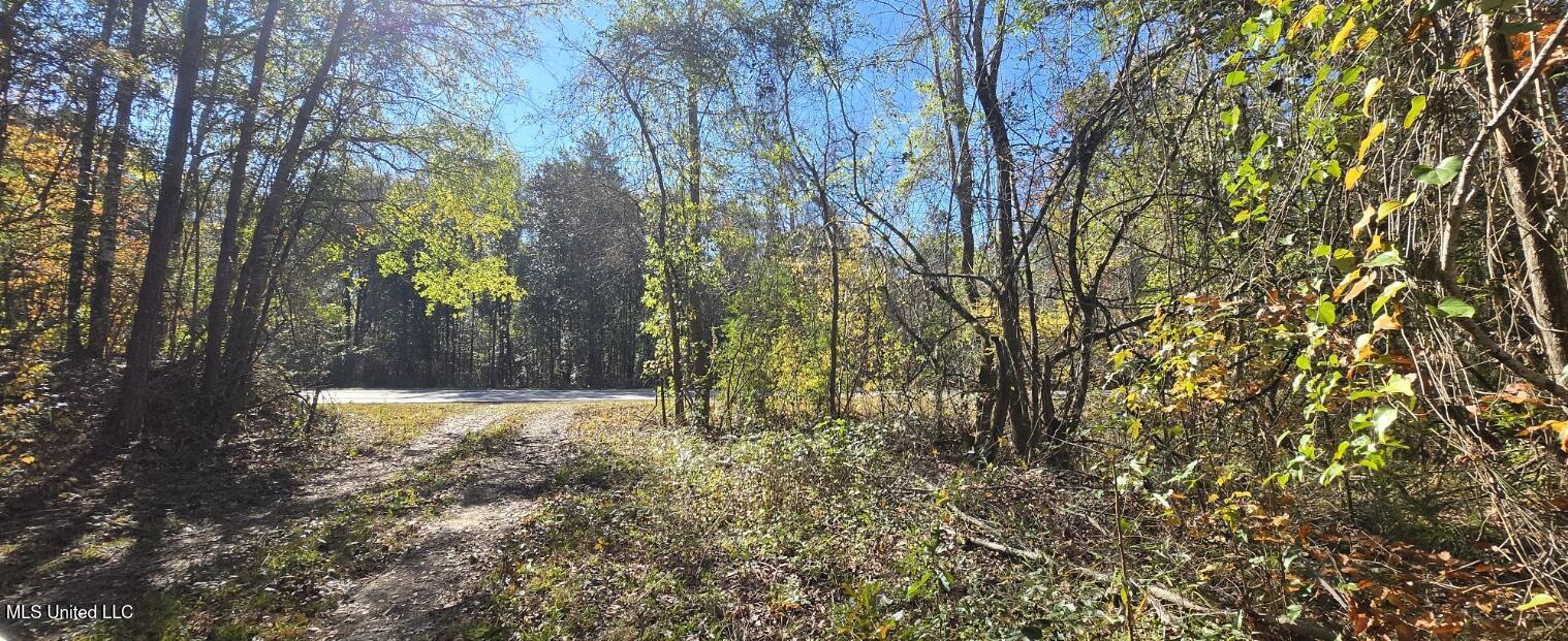10 10 Mile Creek Road Foxworth, MS 39483 - Photo 100 of 101 20251215_111310