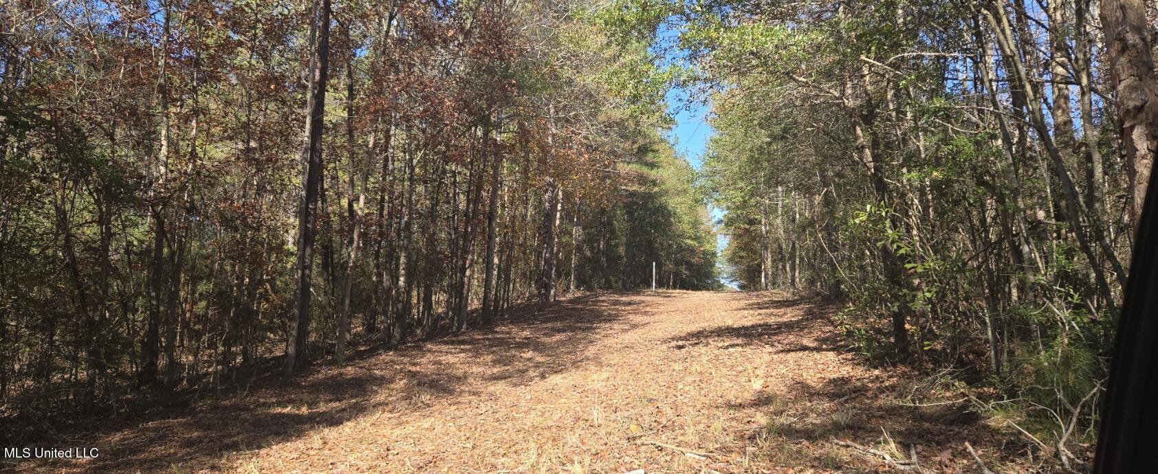 10 10 Mile Creek Road Foxworth, MS 39483 - Photo 10 of 101 20251215_105725