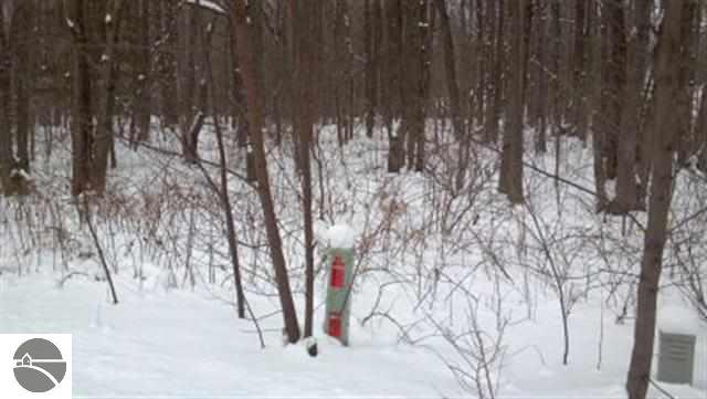 8385 Ridgeway Road Petoskey, MI 49770 - Photo 5 of 6 1732770-4.JPG