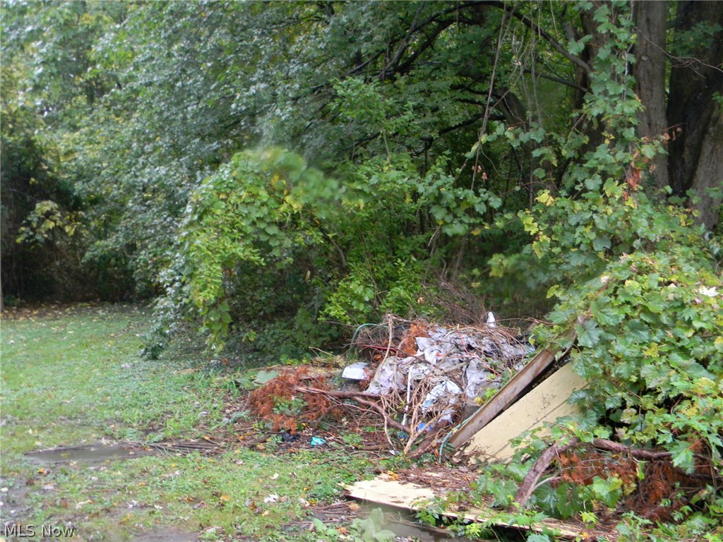 3723 Blackmore Road Perry, OH 44081 - Photo 9 of 35