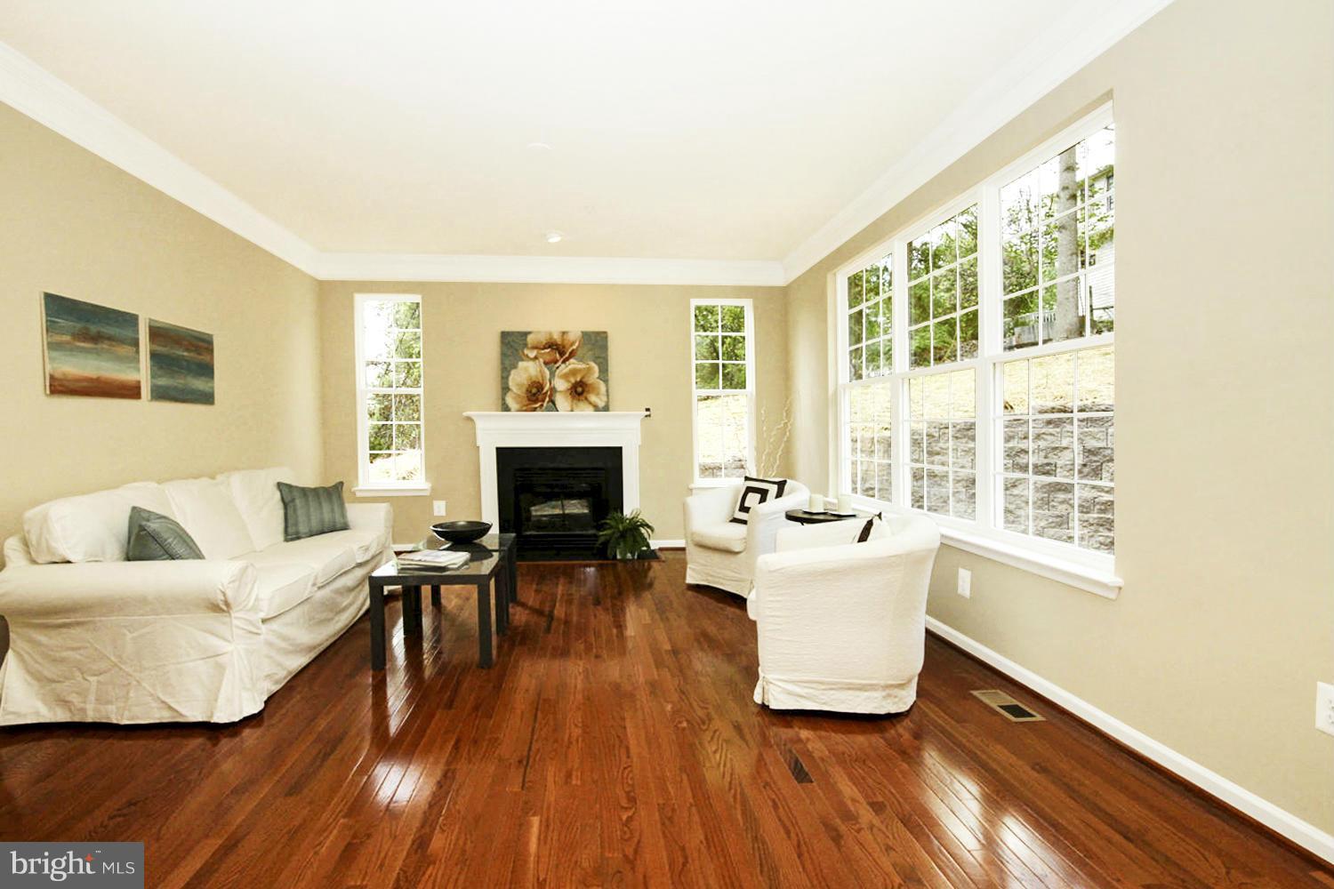 119 West Lakeridge Road New Market, MD 21774 - Photo 11 of 30 Living Room