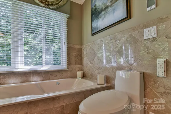 a bathroom with a toilet and a bathtub