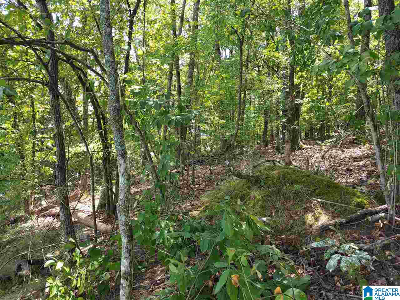 405 Cherokee Road, Unit 6 Cropwell, AL 35054 - Photo 9 of 20