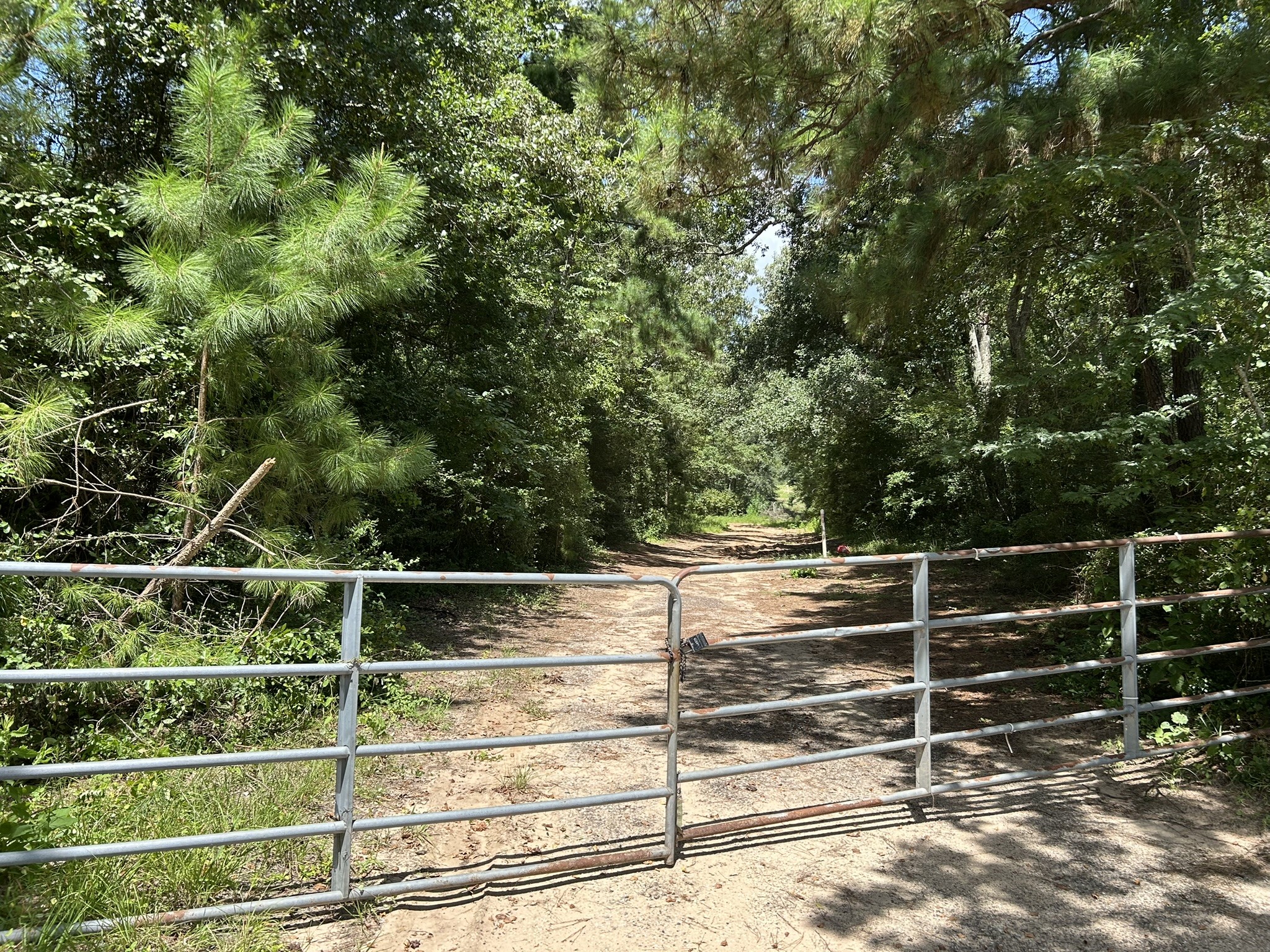 87 Townley Ranch Road Huntsville, TX 77320 - Photo 4 of 50