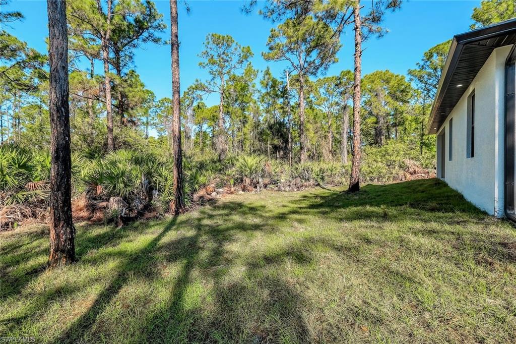 2113 Grayson Avenue Alva, FL 33920 - Photo 23 of 25 View of grassy yard