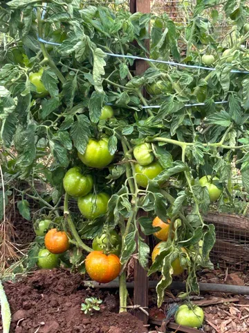 $1,795,500 | 2400 Nelligan Road, Glen Ellen, CA 95442