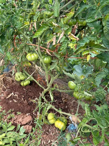 $1,795,500 | 2400 Nelligan Road, Glen Ellen, CA 95442