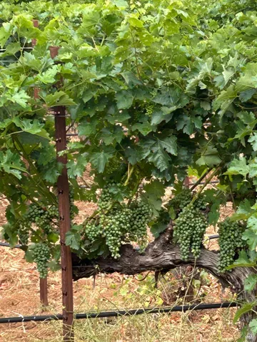 $1,795,500 | 2400 Nelligan Road, Glen Ellen, CA 95442