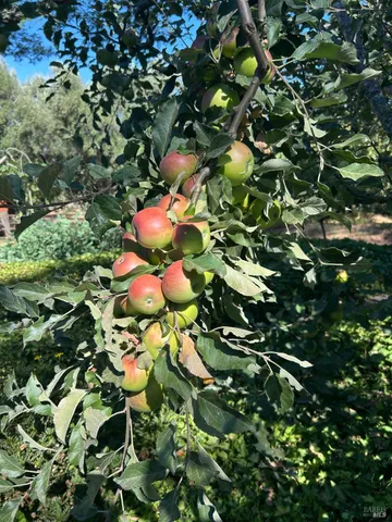 $1,795,500 | 2400 Nelligan Road, Glen Ellen, CA 95442