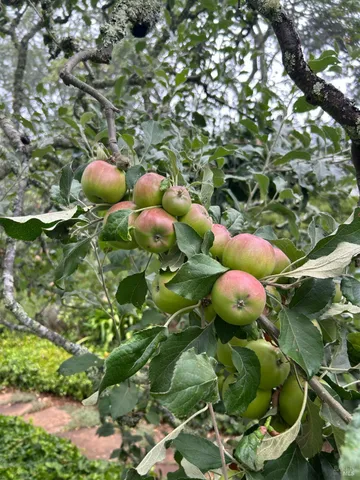 $1,795,500 | 2400 Nelligan Road, Glen Ellen, CA 95442