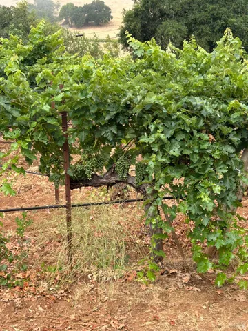 $1,795,500 | 2400 Nelligan Road, Glen Ellen, CA 95442