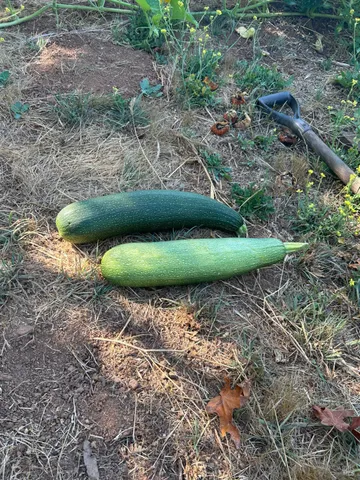 $1,795,500 | 2400 Nelligan Road, Glen Ellen, CA 95442