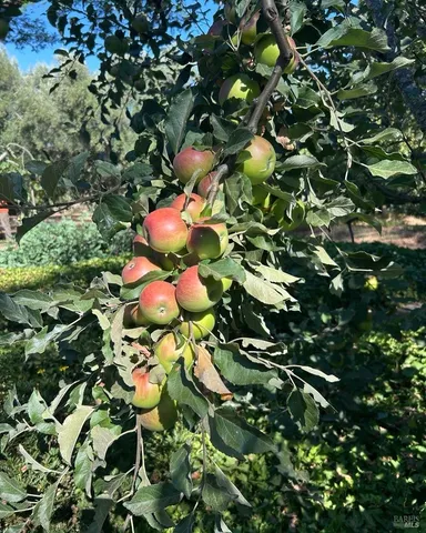 $1,795,500 | 2400 Nelligan Road, Glen Ellen, CA 95442