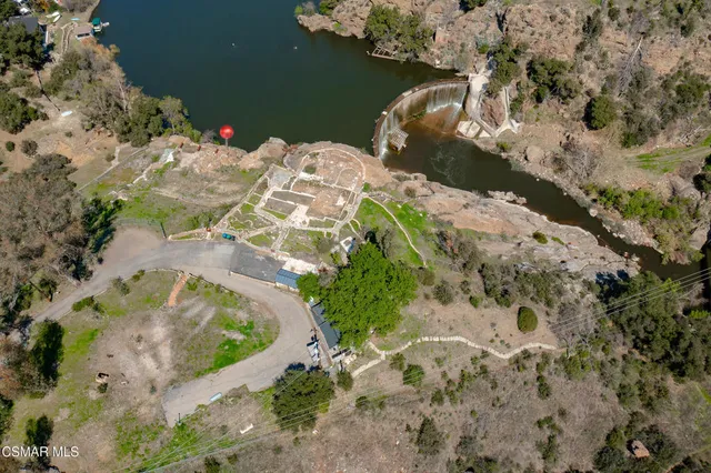 a picture of flowers