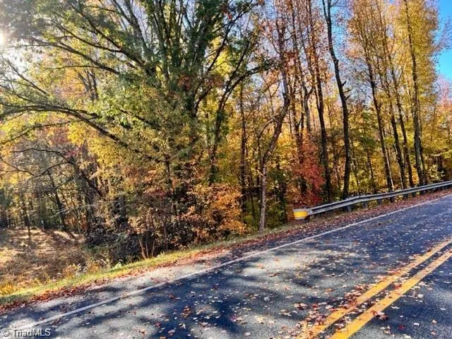 $29,500 | 0 Sol Nunnally Road, Pelham, NC 27311