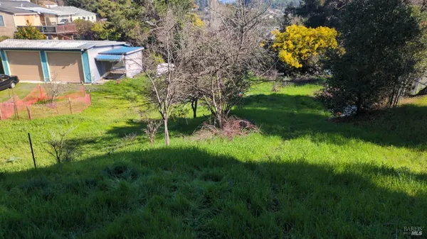 a backyard of a house with lots of green space