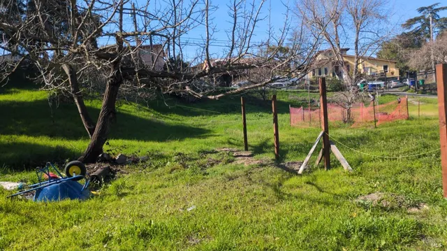 a view of a lush green outdoor space
