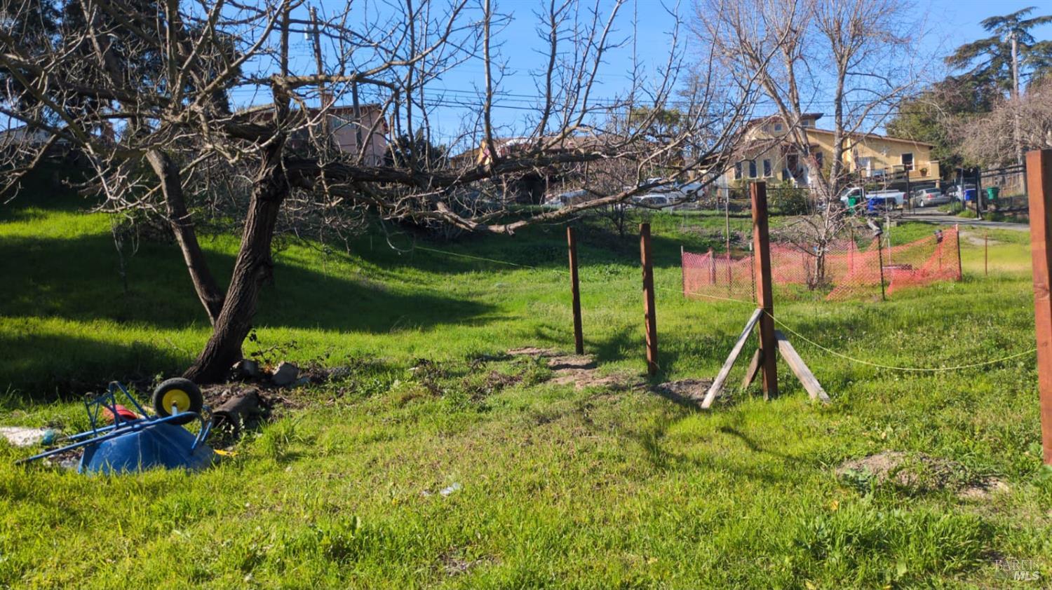 677 Renfrew Road El Sobrante, CA 94803 - Photo 6 of 12 a view of a park with large trees