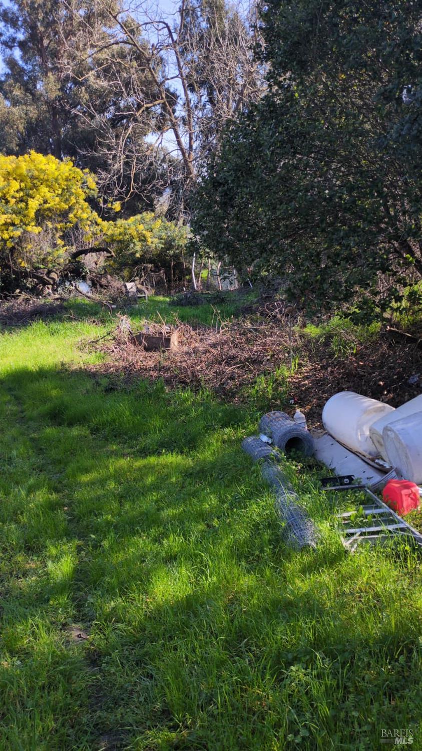 677 Renfrew Road El Sobrante, CA 94803 - Photo 7 of 12 a view of a lush green outdoor space