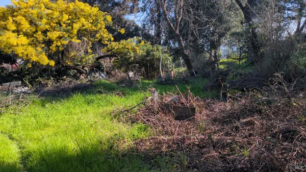 a view of a garden with a house