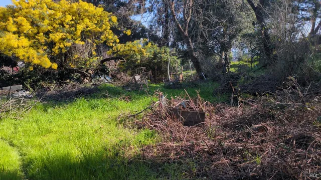a view of a garden with a house