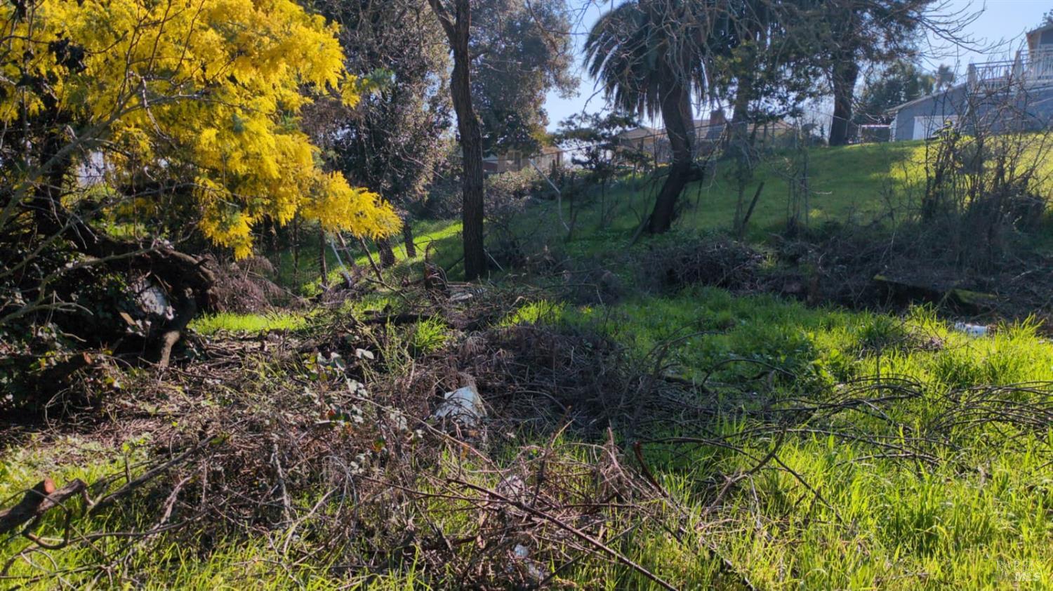 677 Renfrew Road El Sobrante, CA 94803 - Photo 9 of 12 a view of a garden with a house
