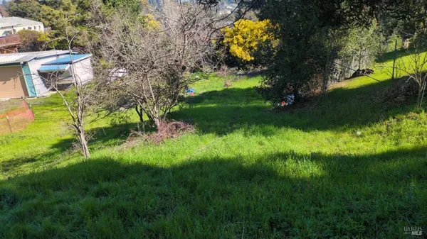 a backyard of apartments with large trees