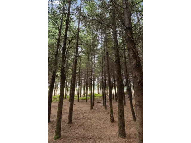 a view of a house with a outdoor space