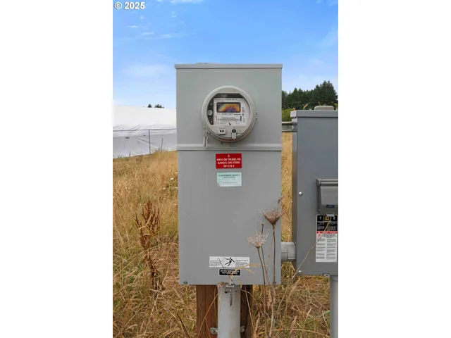 a view of a yard with plants and wooden fence
