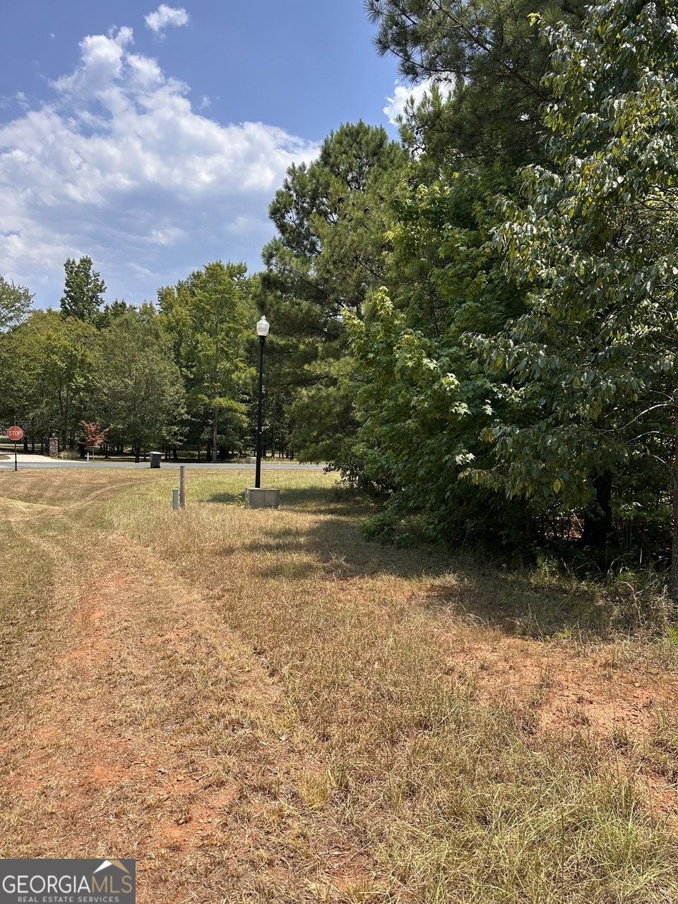 Lot 16 South Point Drive Tignall, GA 30668 - Photo 6 of 12 a backyard of a house with lots of green space