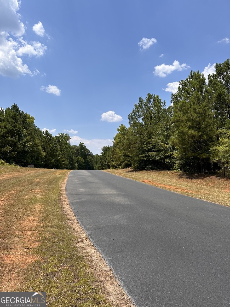 Lot 16 South Point Drive Tignall, GA 30668 - Photo 7 of 12 a view of outdoor space and yard