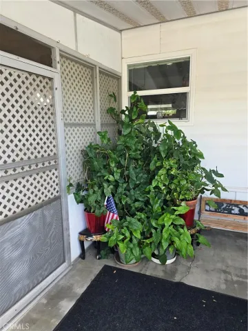 a view of a room with plants