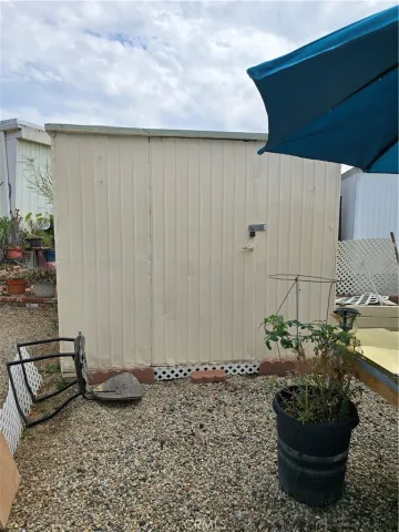 a couple of flowers sitting in a kitchen