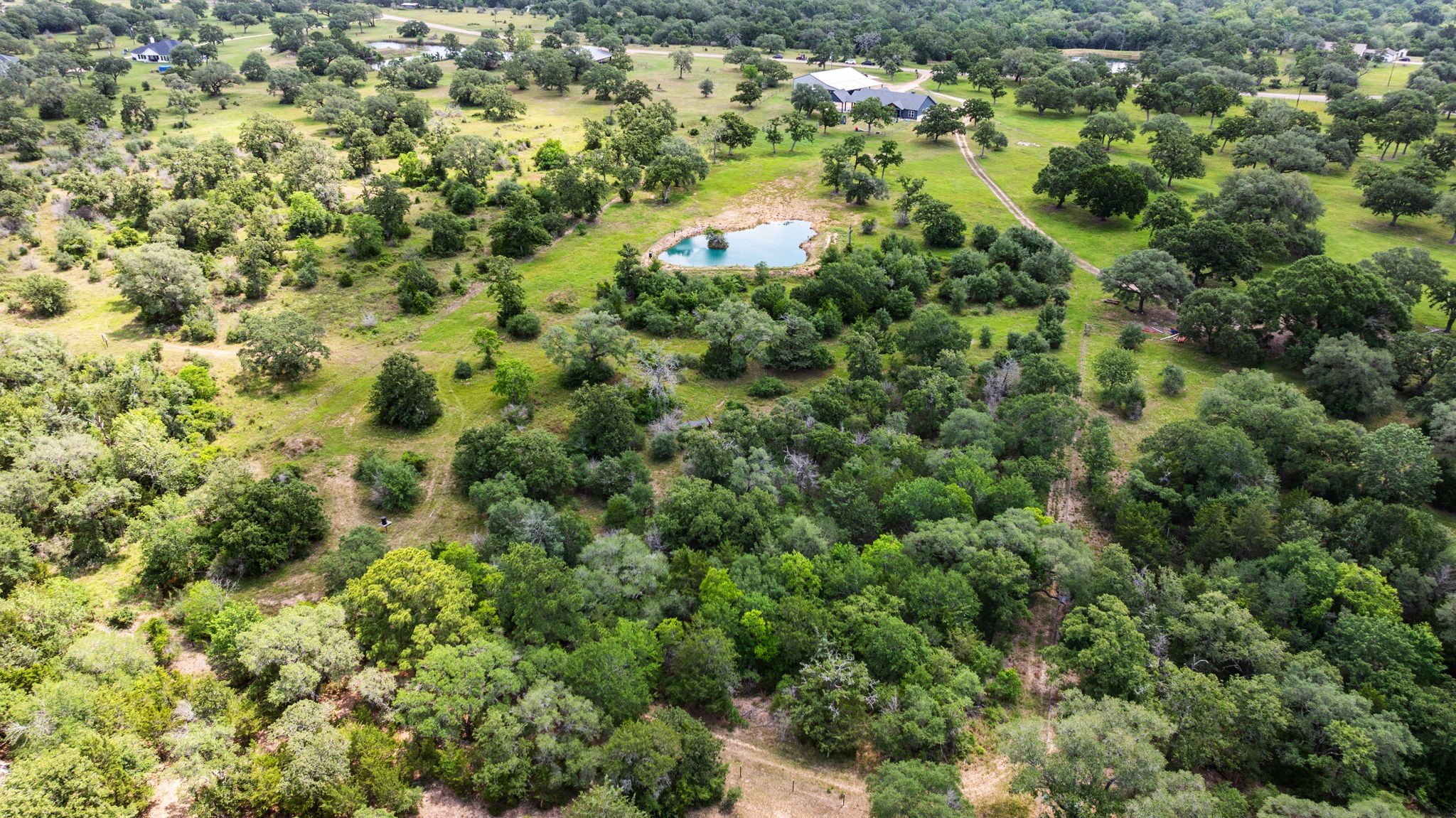 1507 Smith Rau Road Columbus, TX 78934 - Photo 46 of 50 view of a forest with a houses