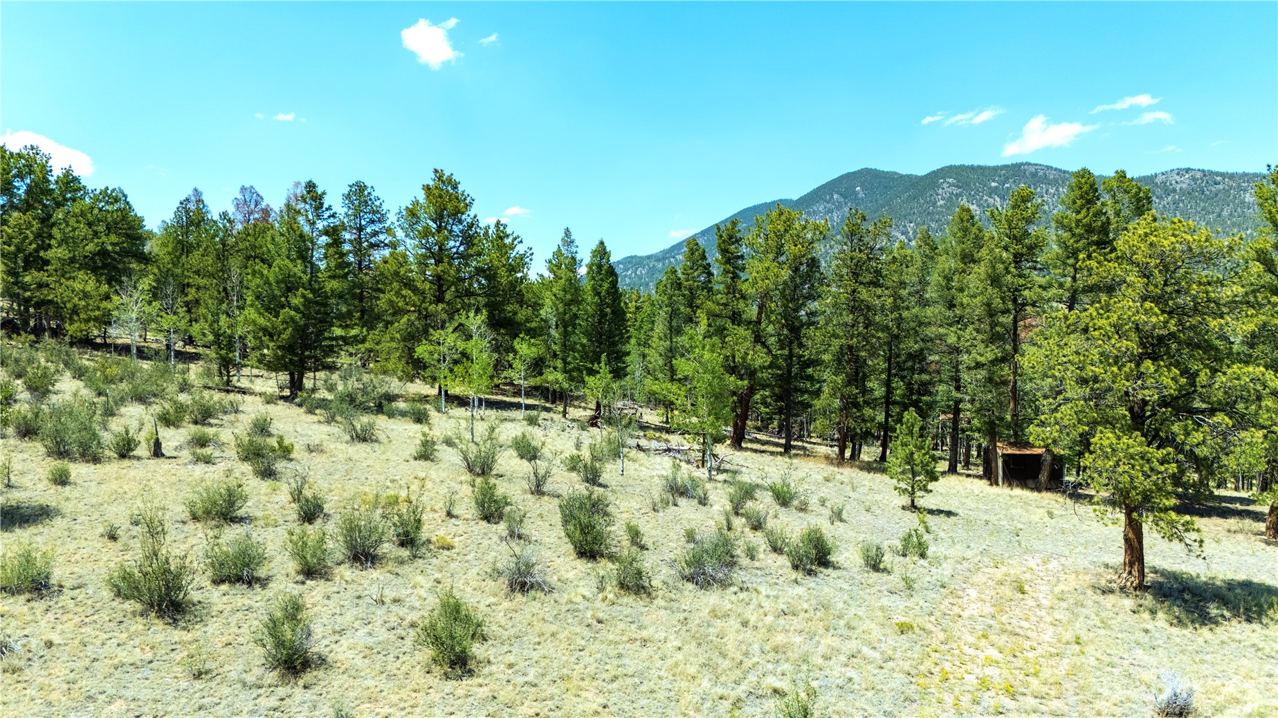1036 Pulver Road Lake George, CO 80827 - Photo 4 of 27