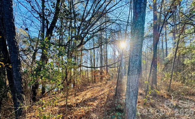 a view of street along with trees