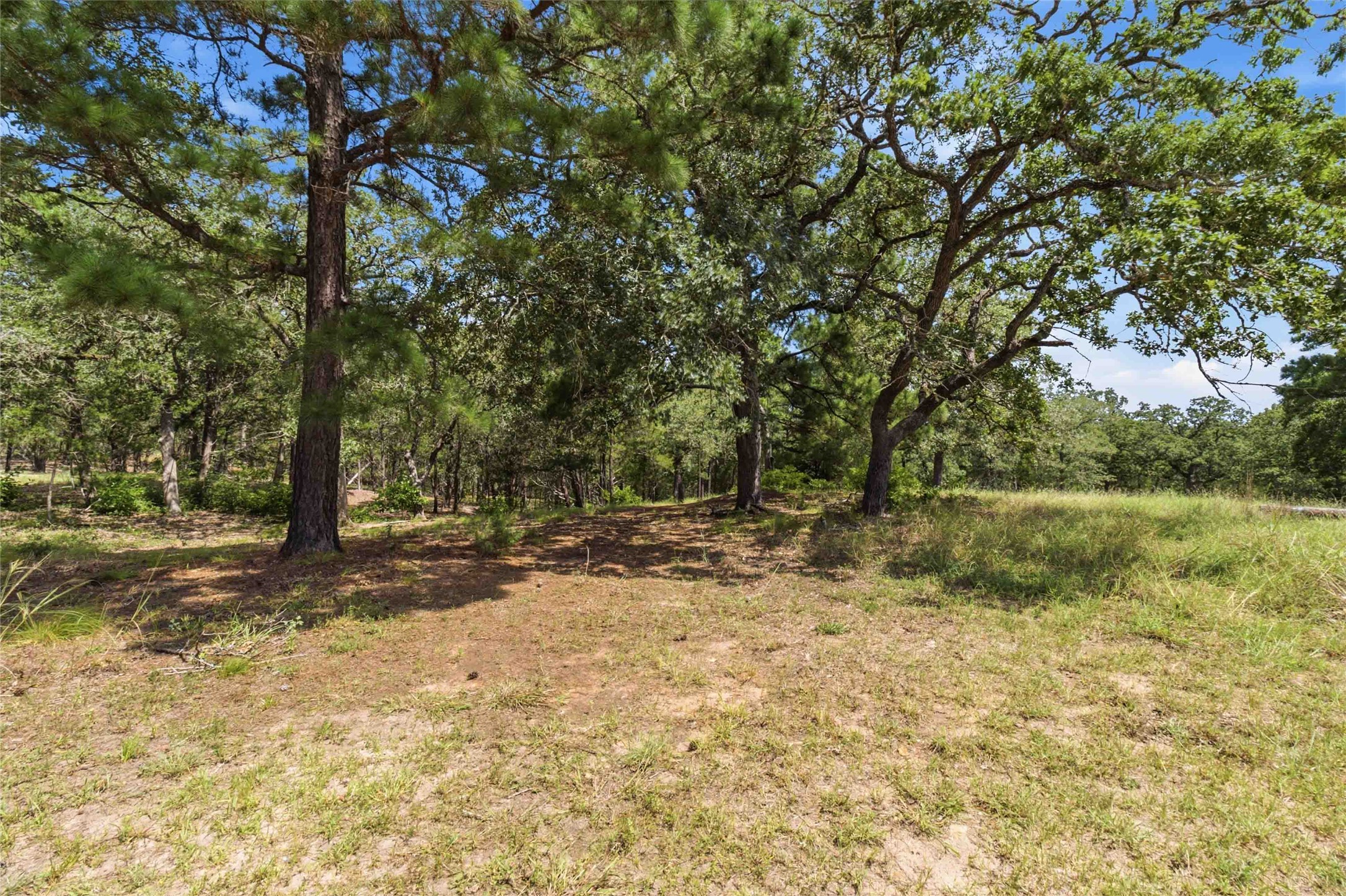 7921 Vista Ranch Road Smithville, TX 78957 - Photo 30 of 39 A tranquil, tree-filled landscape offers a peaceful retreat for your future home.