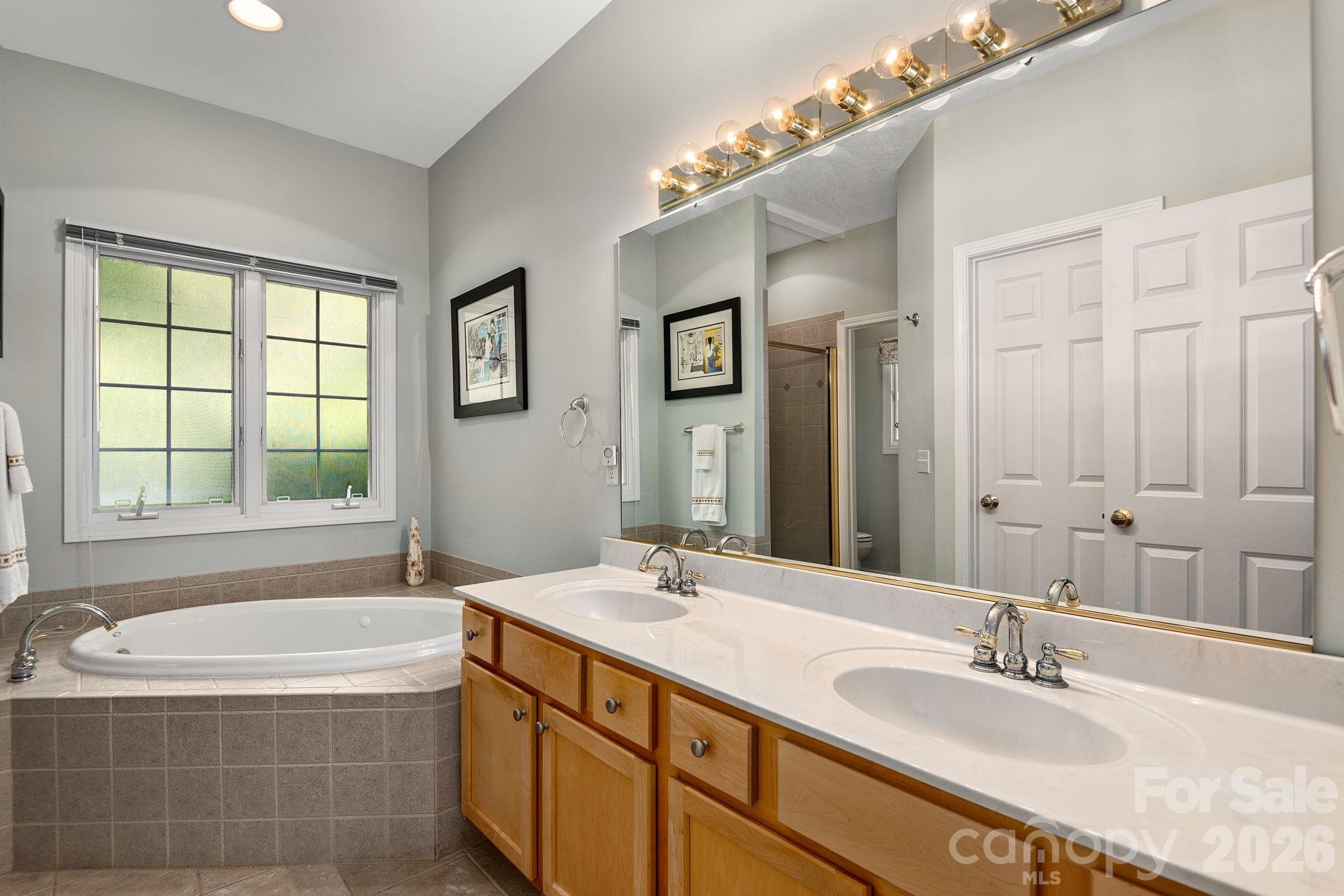 212 Blue Ridge Vista Asheville, NC 28805 - Photo 21 of 42 a bathroom with a bathtub sink and mirror