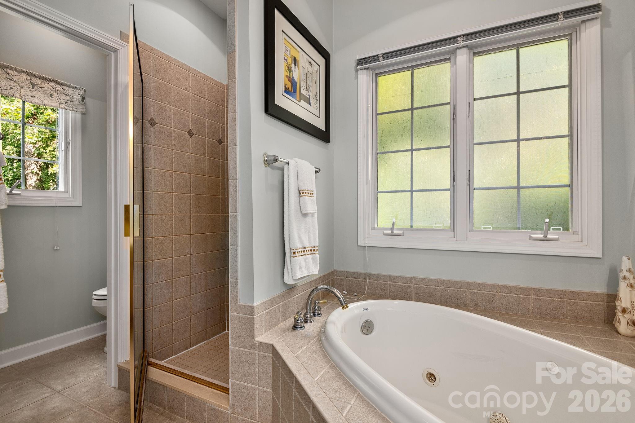 212 Blue Ridge Vista Asheville, NC 28805 - Photo 22 of 42 a bathroom with a bathtub and a window