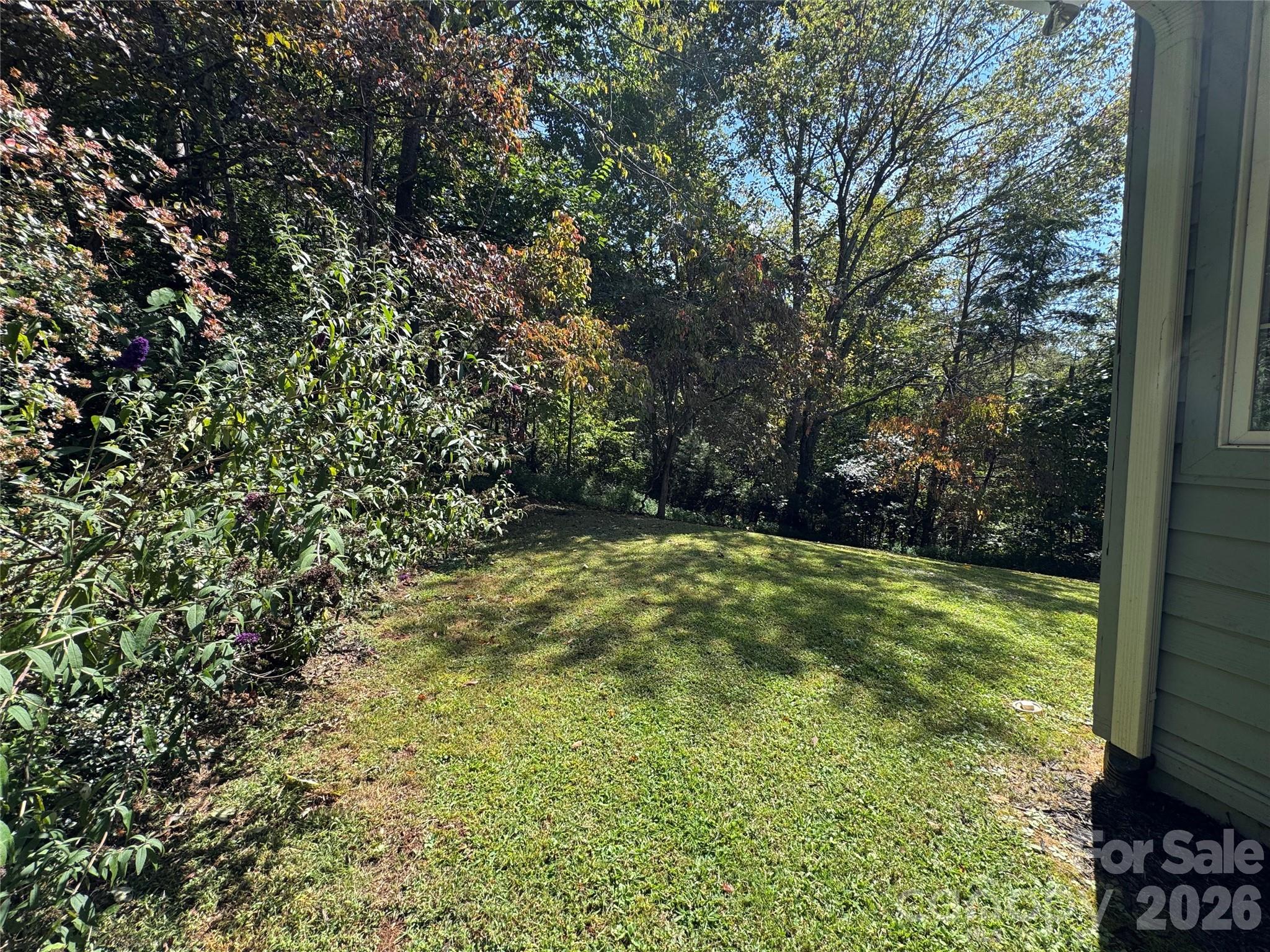 212 Blue Ridge Vista Asheville, NC 28805 - Photo 35 of 42 a view of yard with green space