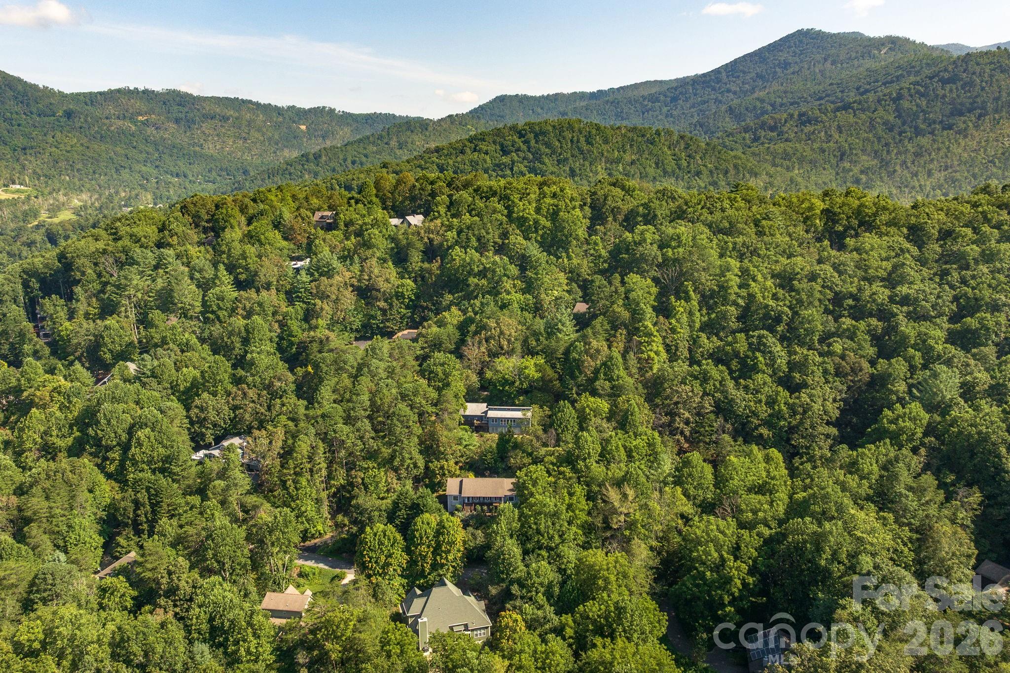 212 Blue Ridge Vista Asheville, NC 28805 - Photo 39 of 42 a view of a mountain range with lush green forest